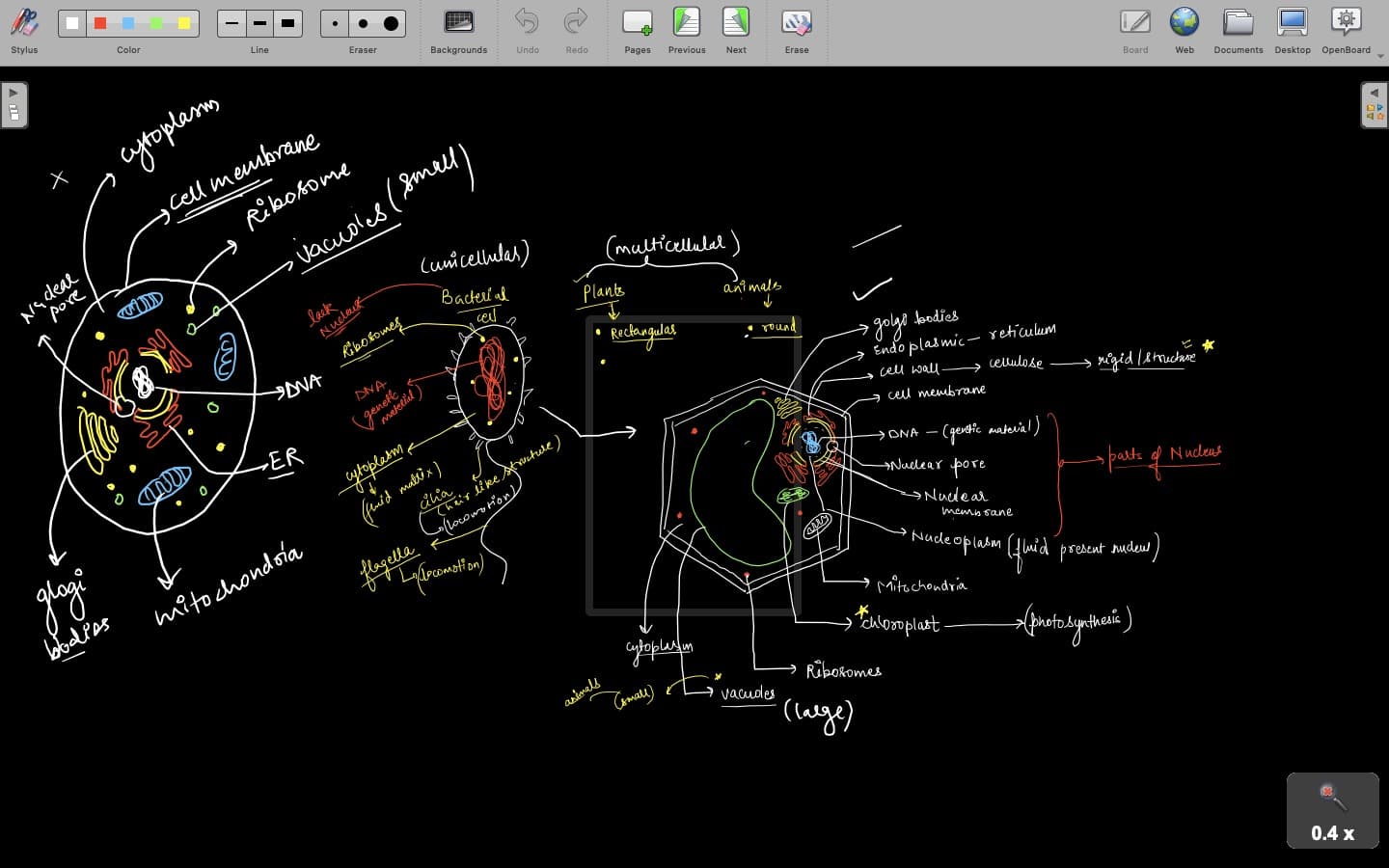 Student image 1