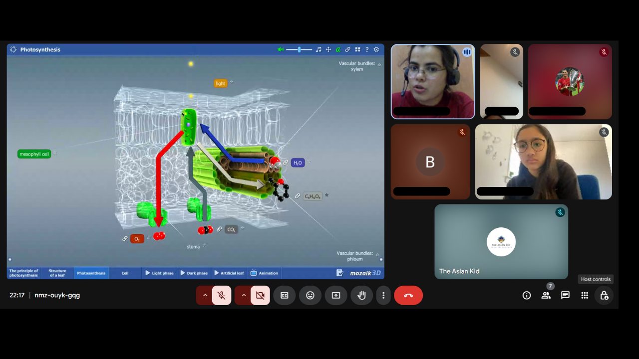 Interactive 3D photosynthesis model in a live science class